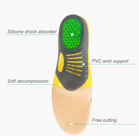 Thumbnail for INS 101: Arch Support Orthopedic Insoles